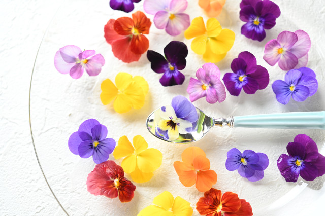 エディブルフラワーを楽しもう！